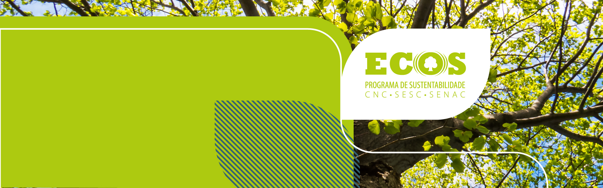 Programa ECOS